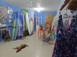 Surf boards for lessons at Zicazteca Surf School