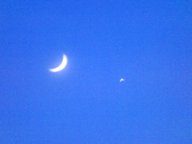 moon and star zicatela