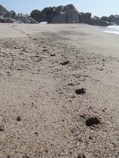 foot prints down beach