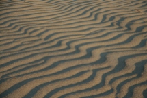 shadows on sand