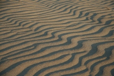 shadows on sand